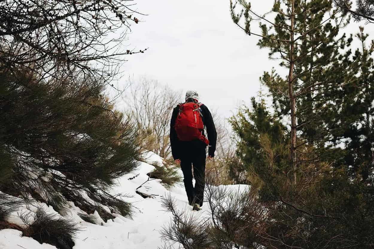 A hiker with a red backpack walking a snowy forest trail