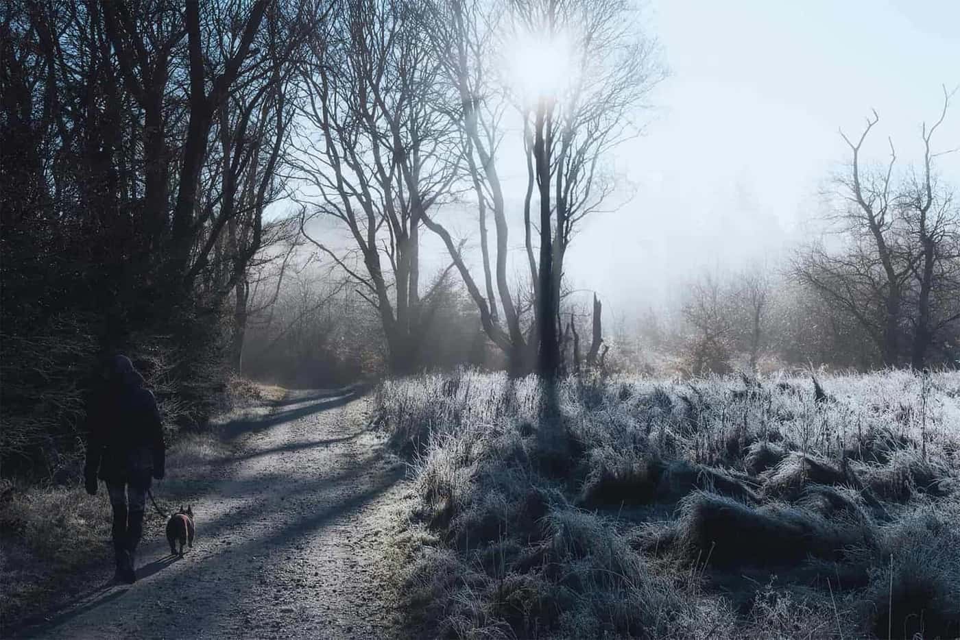 A person walking a dog on a frosty trail at sunrise