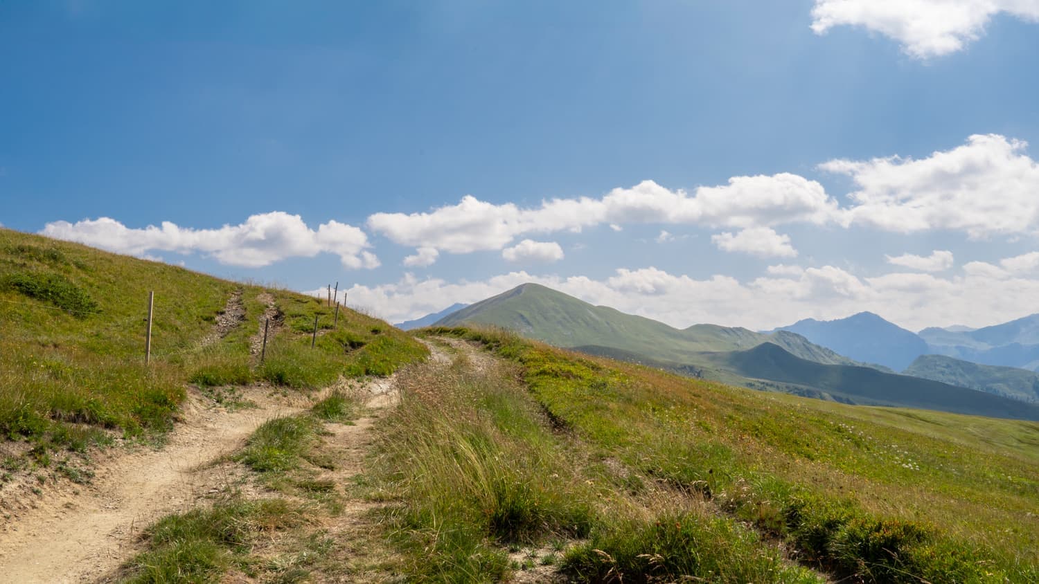 A dirt trail running through a green mountain meadow