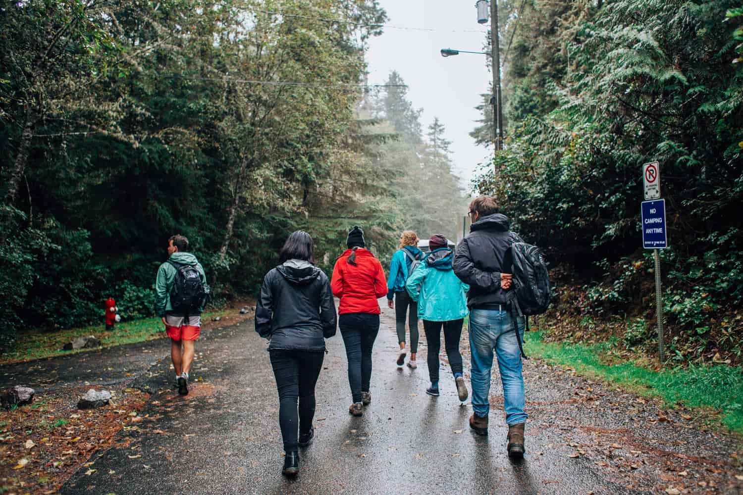 A group of hikers walking a wet forest road in the rain