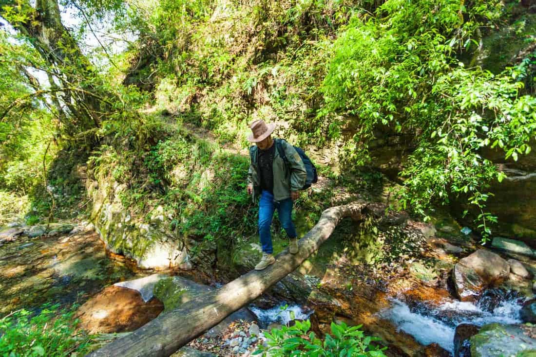 A hiker crossing a log bridge over a forest stream