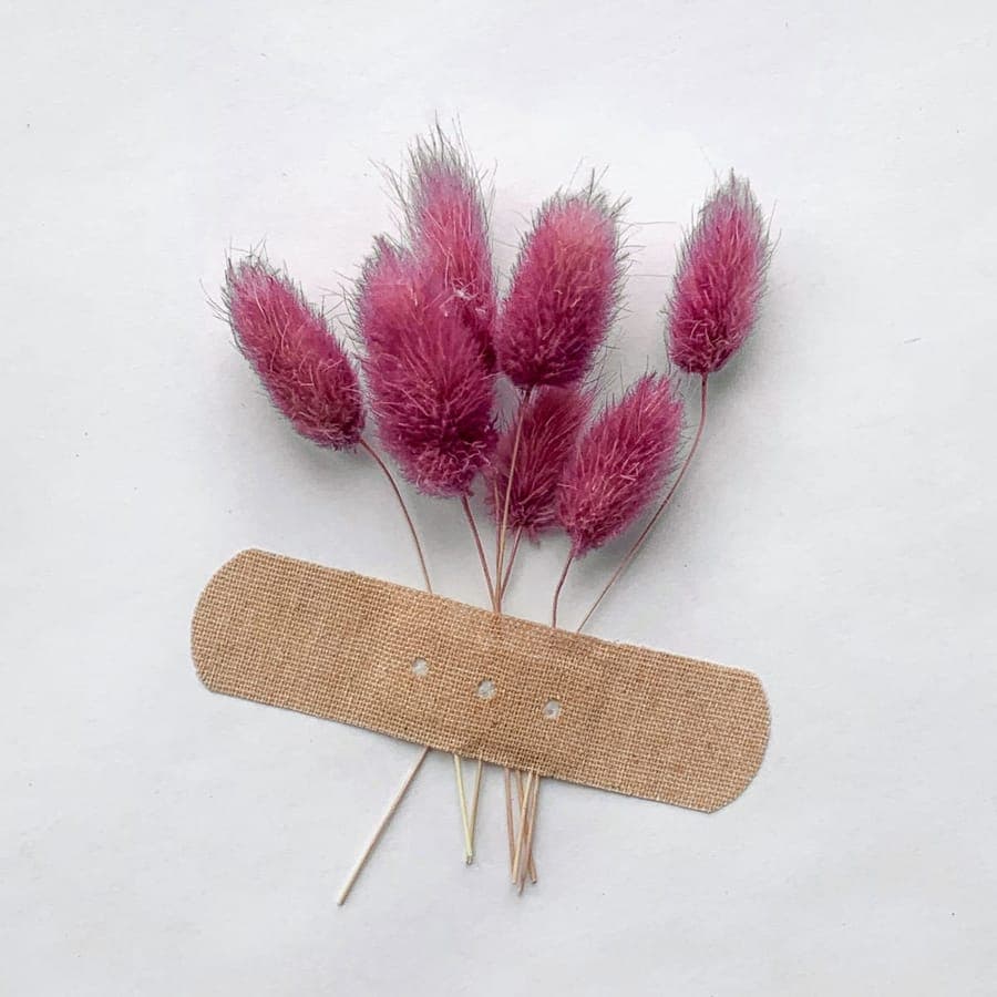 An adhesive bandage on a white background with dried grass stems
